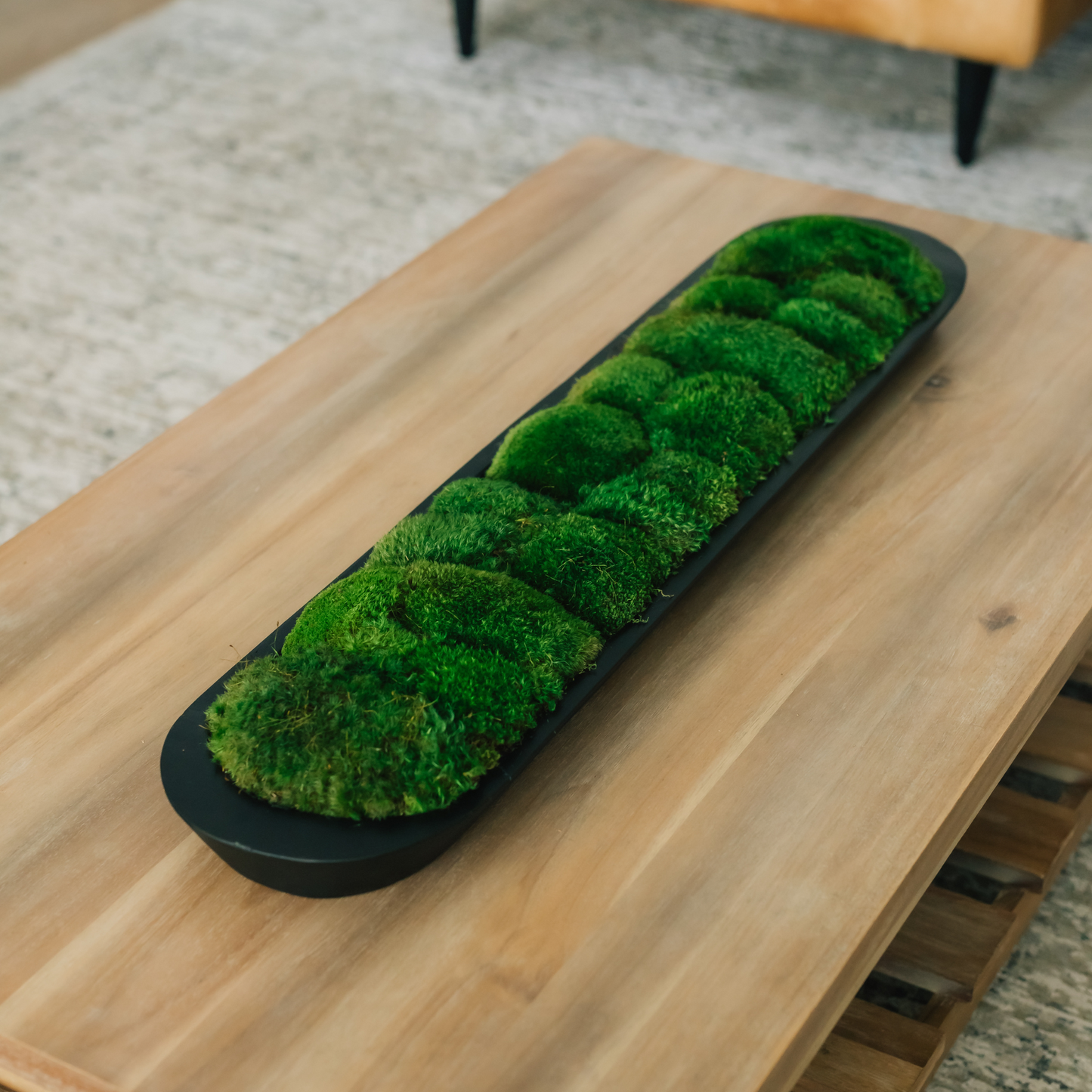 Eclipse Moss Display Bowl 40x9