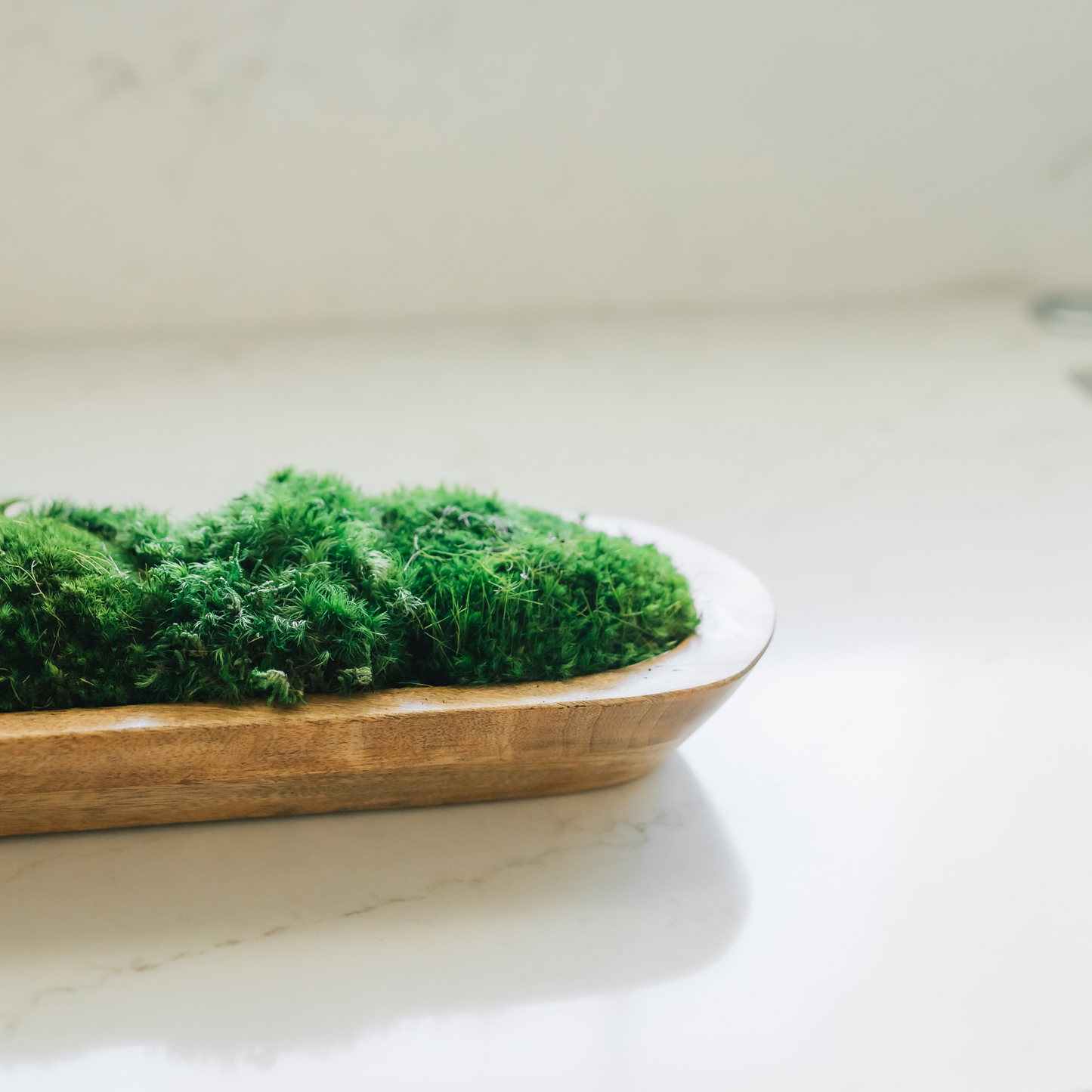 Terra Moss Display Bowl 40×9