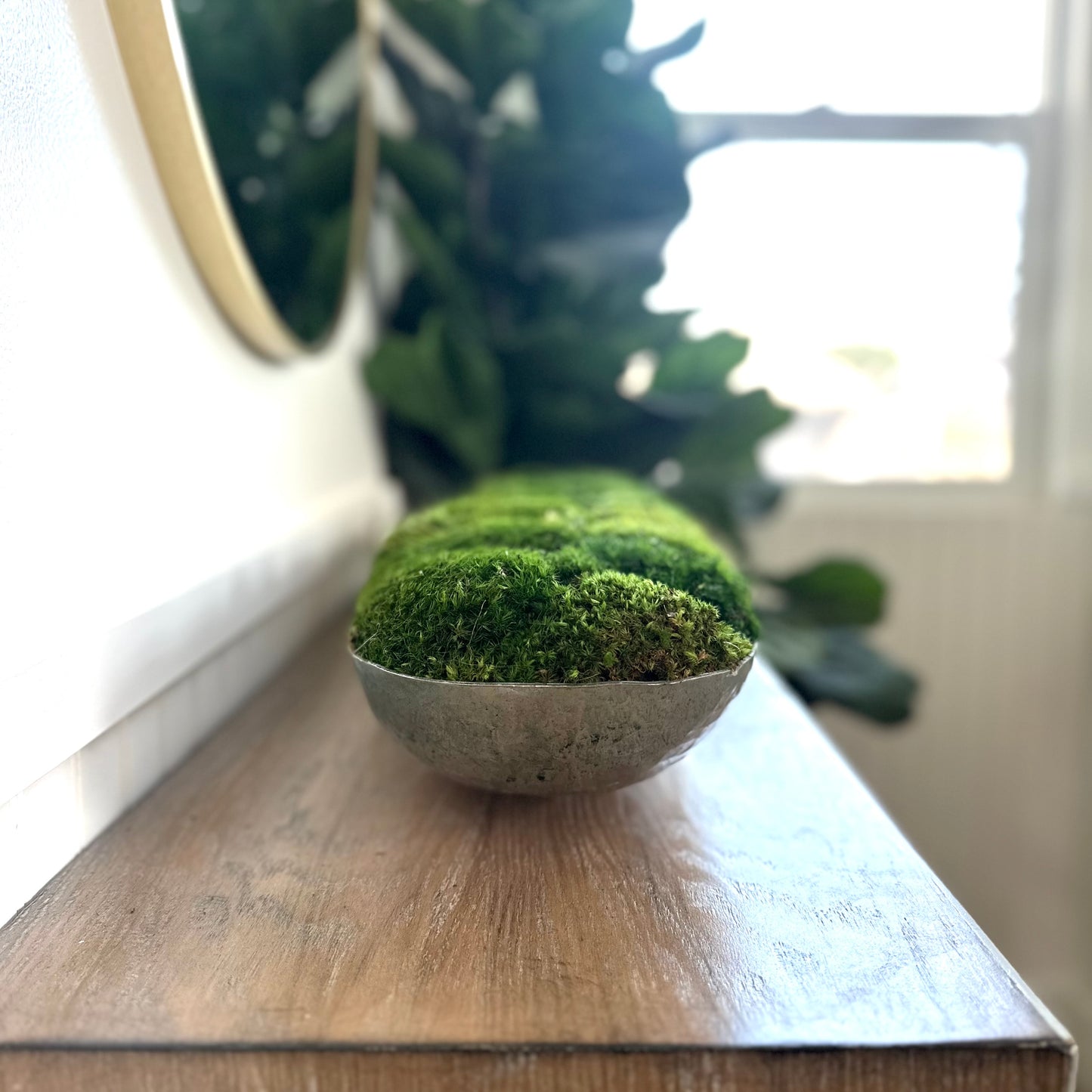 Modern Elegance Moss Bowl