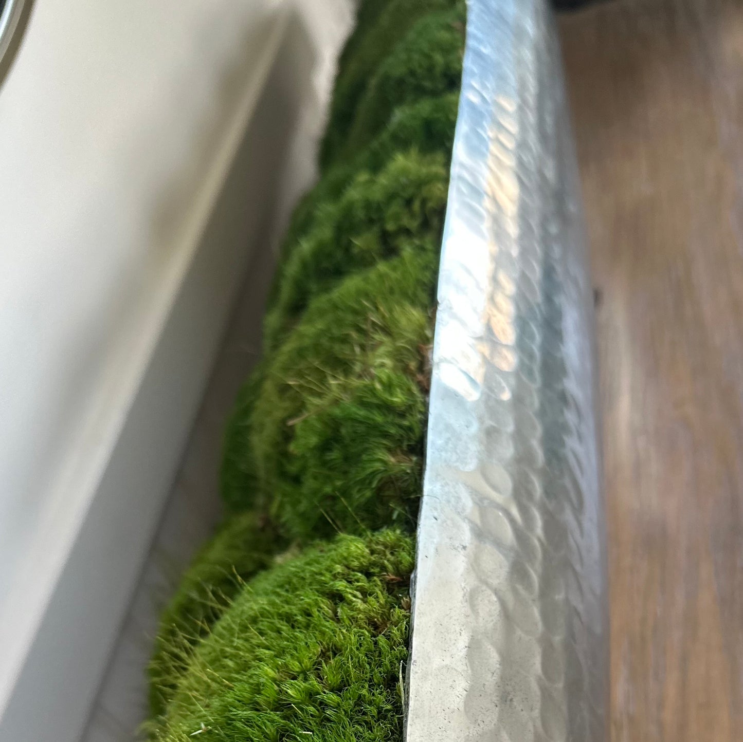 Modern Elegance Moss Bowl