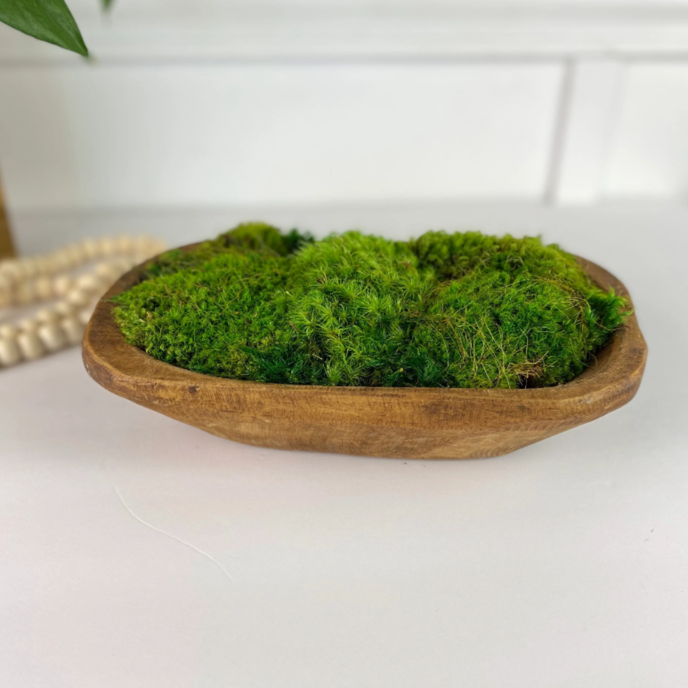 Moss Dough Bowl Centerpiece, Office Decor.
