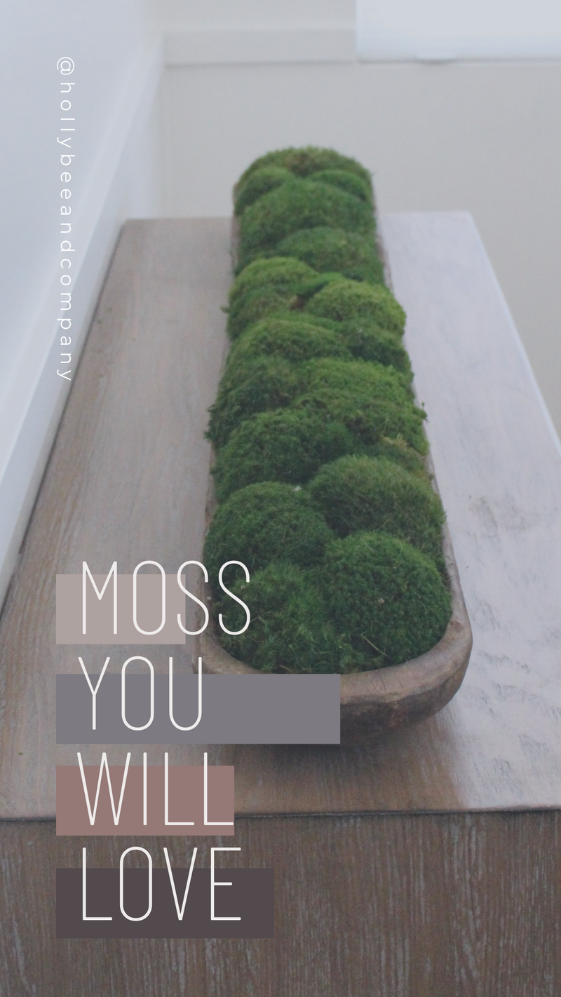 Moss Art and Bowls