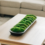 Eclipse Moss Display Bowl 40x9