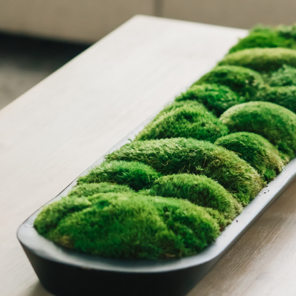 The Onyx Moss Display Bowl 40x12