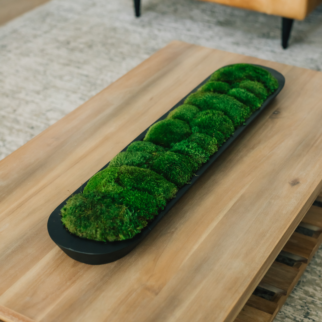 Eclipse Moss Display Bowl 40x9