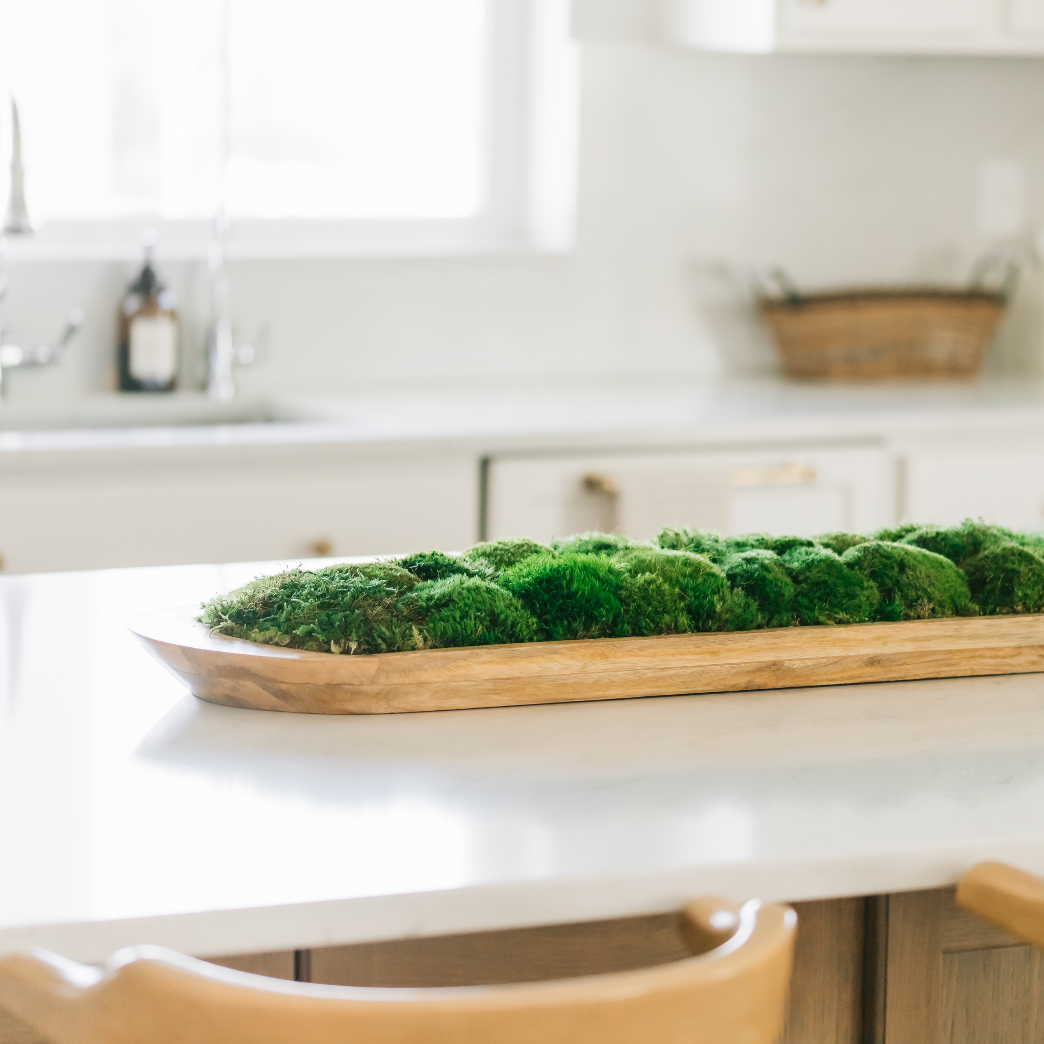 Terra Moss Display Bowl  40×9