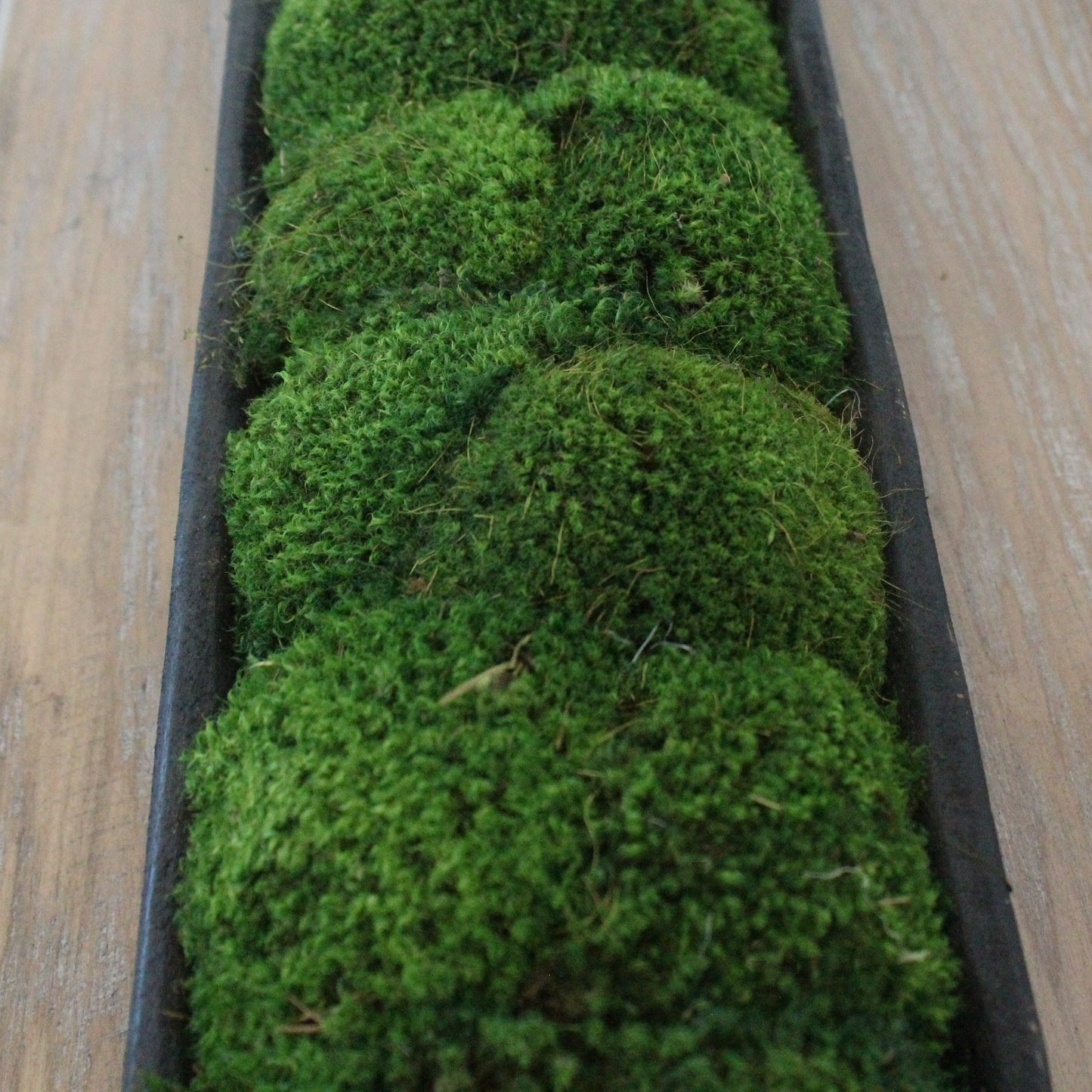 Black Moss Dough Bowl