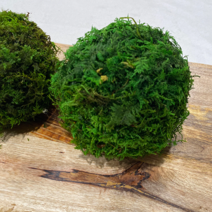 Moss Ball 6" Orb