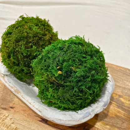 Moss Ball 6" Orb