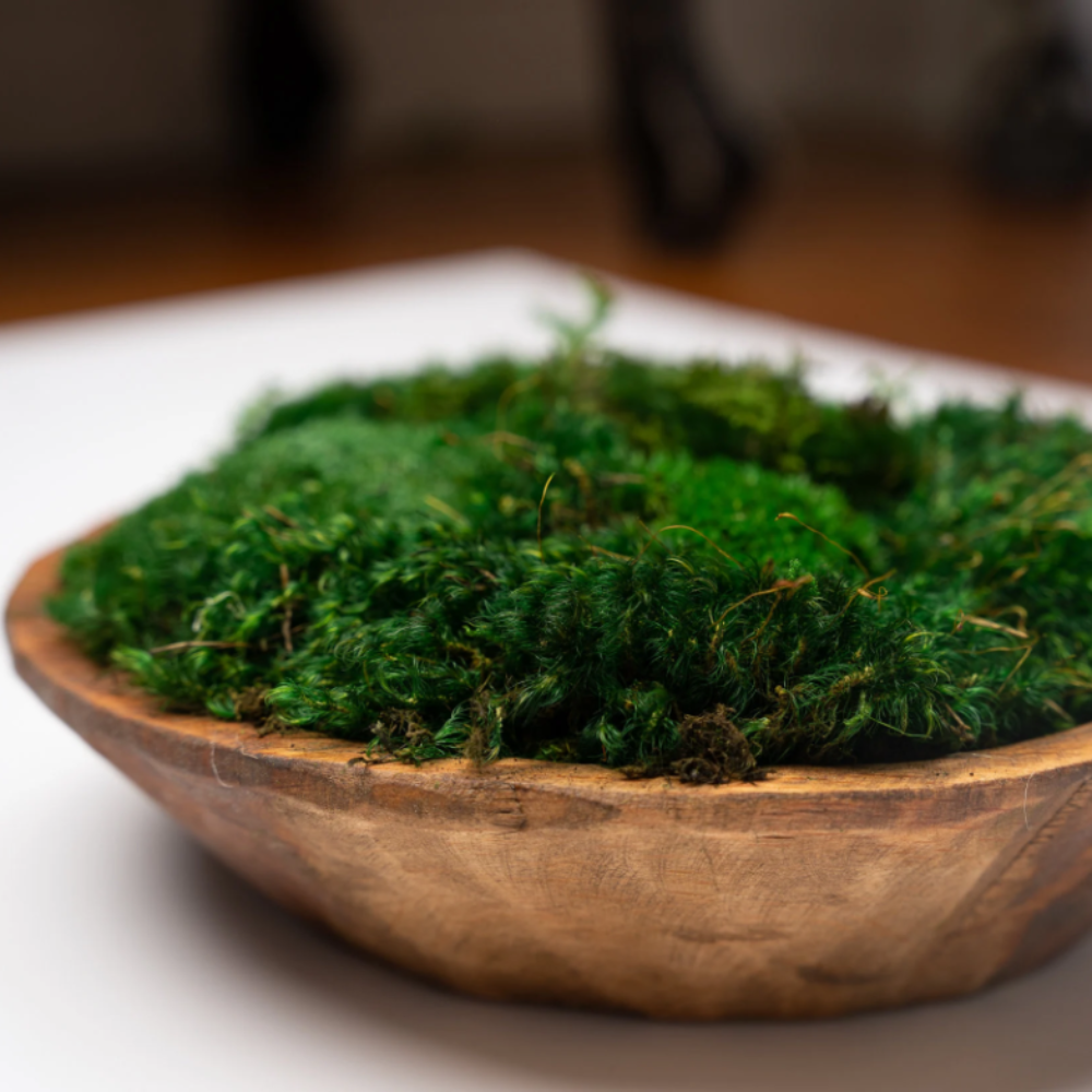 Round Moss Dough Bowl