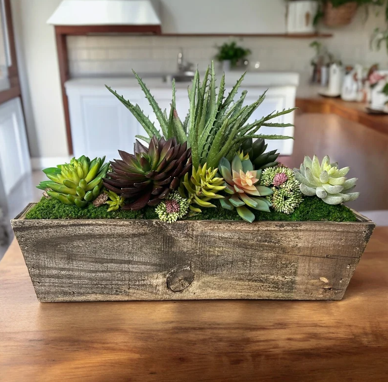 Large Succulent Arrangement