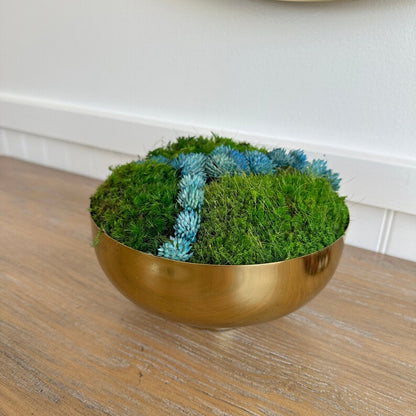 Brass Bowl with Moss and Blue SucculentS