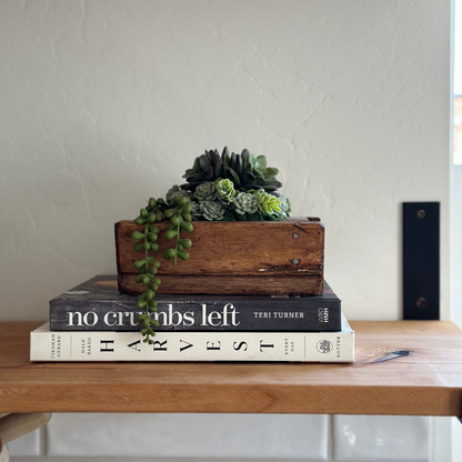 Succulent Arrangement in Small Wood Planter