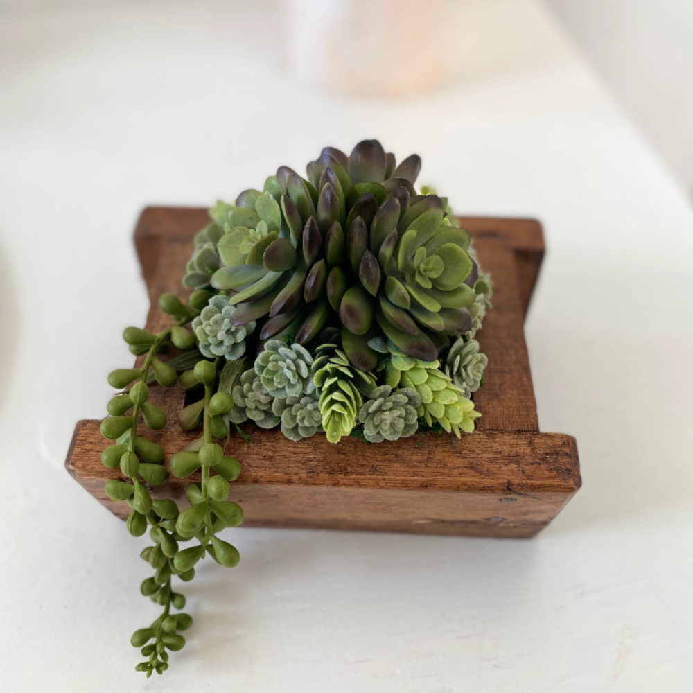 Succulent Arrangement in Small Wood Planter