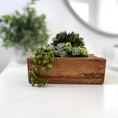 Succulent Arrangement in Small Wood Planter