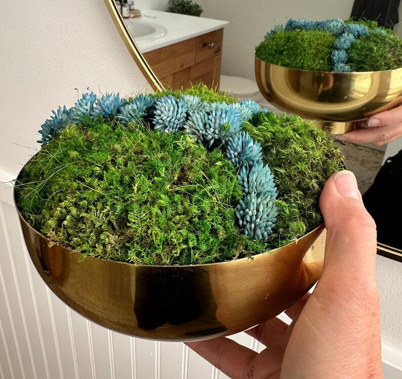 Brass Bowl with Moss and Blue SucculentS