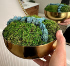 Brass Bowl with Moss and Blue SucculentS