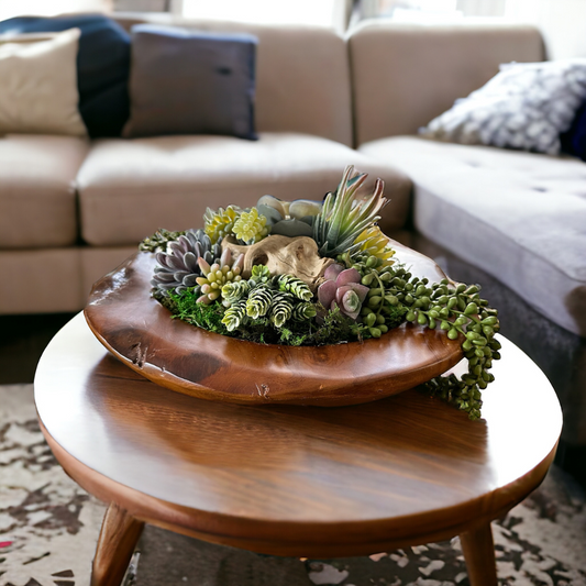 Succulent Arrangement in a Teak Bowl