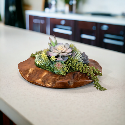 Succulent Arrangement in a Teak Bowl