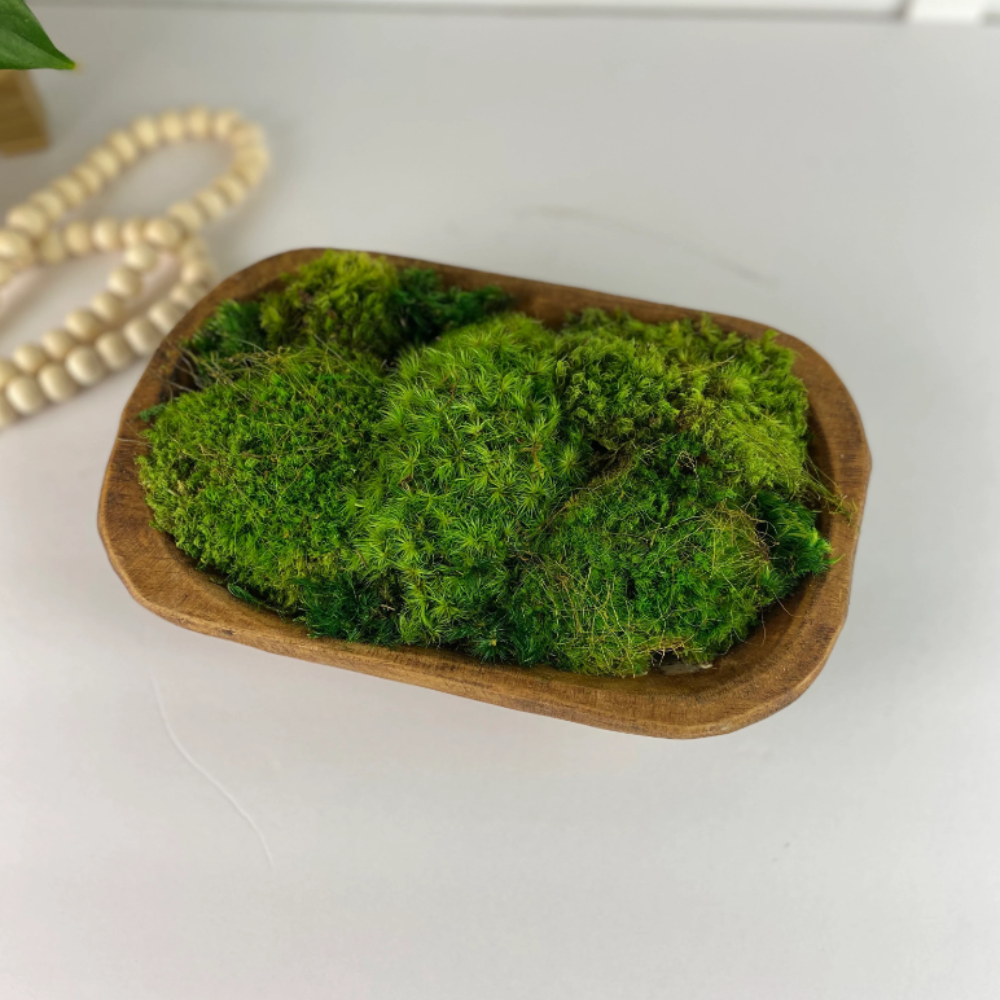 Moss Dough Bowl Centerpiece, Office Decor.