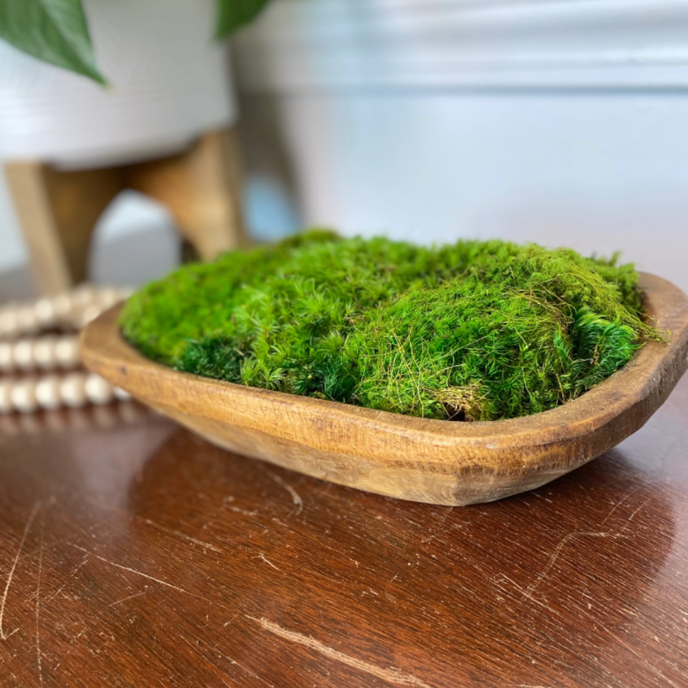 Moss Dough Bowl Centerpiece, Office Decor.