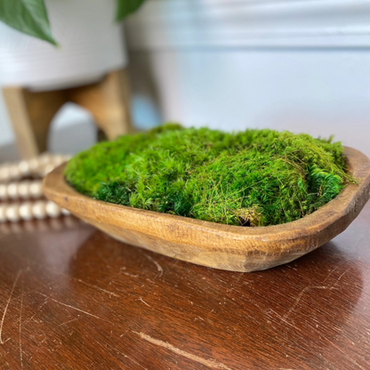 Moss Dough Bowl Centerpiece, Office Decor.