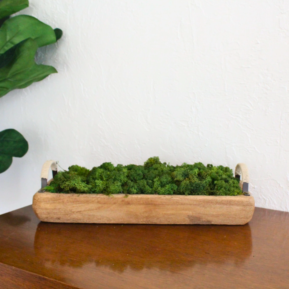 Table Centerpiece Moss Bowl Arrangement With Handles