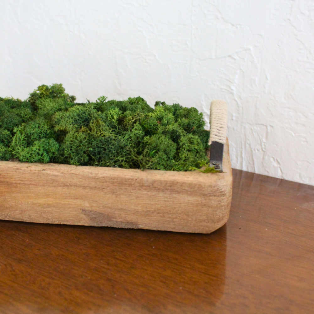 Table Centerpiece Moss Bowl Arrangement With Handles